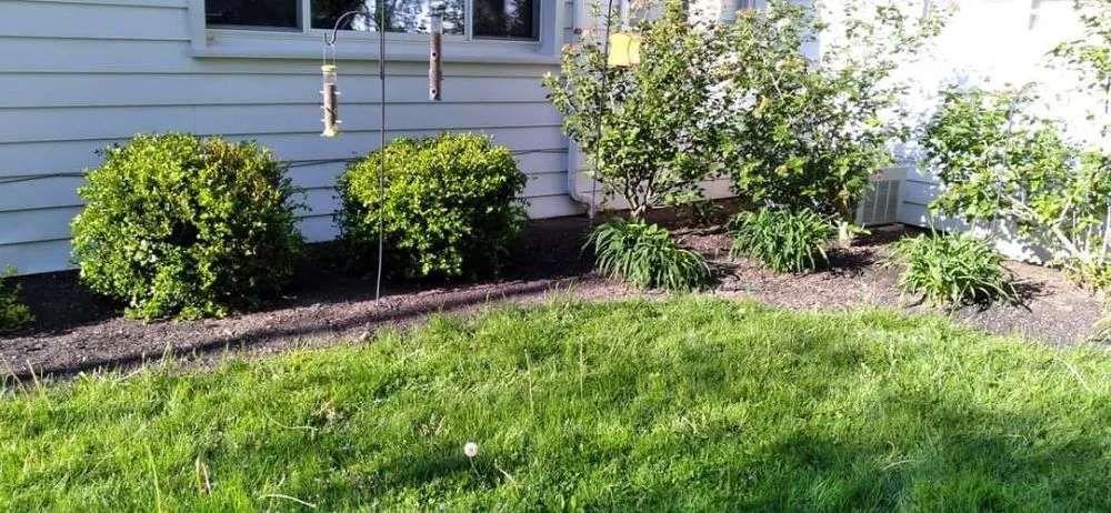 Top-rated outdoor landscaping for residential properties across Elyria, OH - 2nd Chance Landscaping