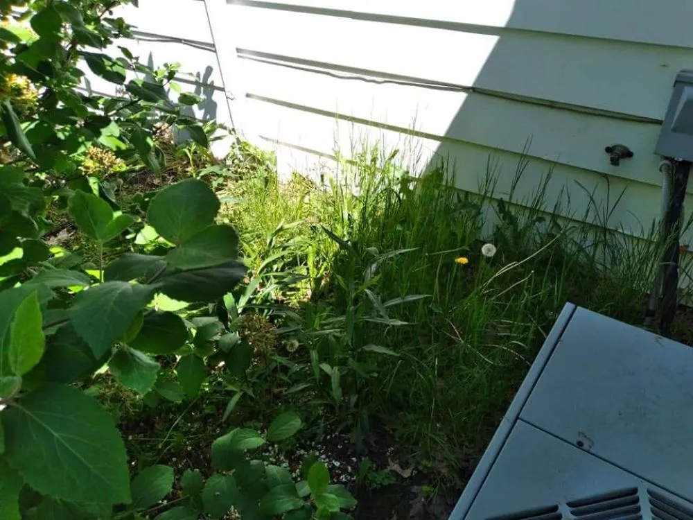 Affordable landscape installation experts serving Elyria, OH - 2nd Chance Landscaping