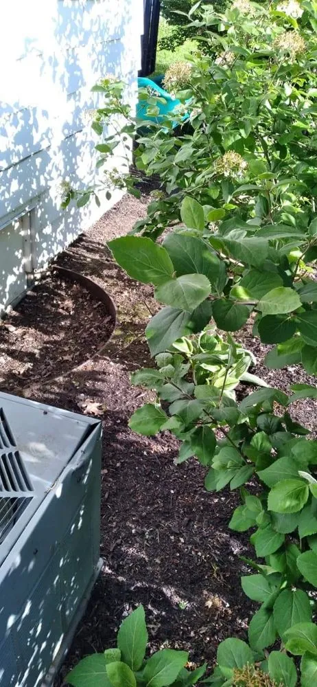 Reliable yard maintenance experts serving Elyria, OH - 2nd Chance Landscaping