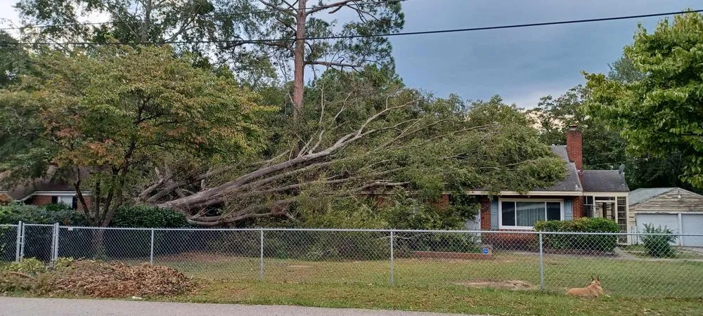 Professional lawn care service in Blythewood, SC - 2nd Chance Lawn And Tree Care