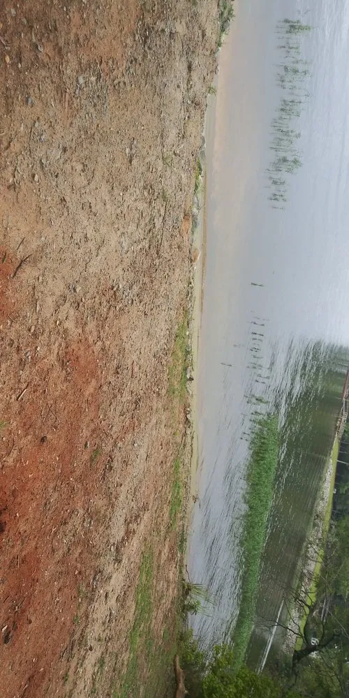 Professional landscape installation experts serving Blythewood, SC - 2nd Chance Lawn And Tree Care