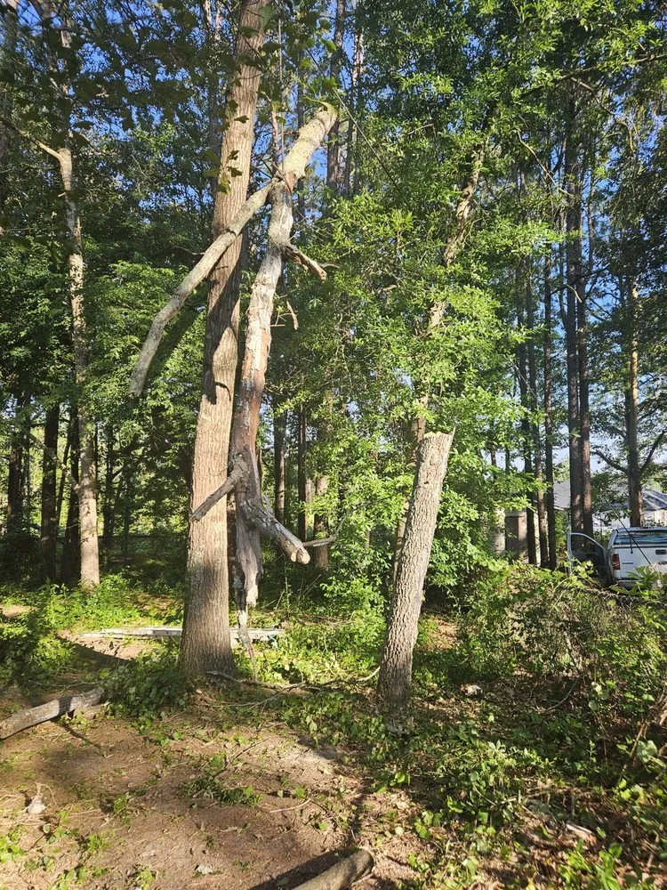 Trusted landscape installation in Blythewood, SC - 2nd Chance Lawn And Tree Care