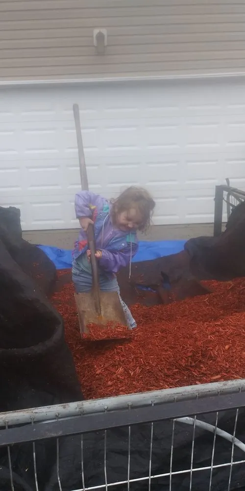 Reliable yard cleanup service experts serving Blythewood, SC - 2nd Chance Lawn And Tree Care