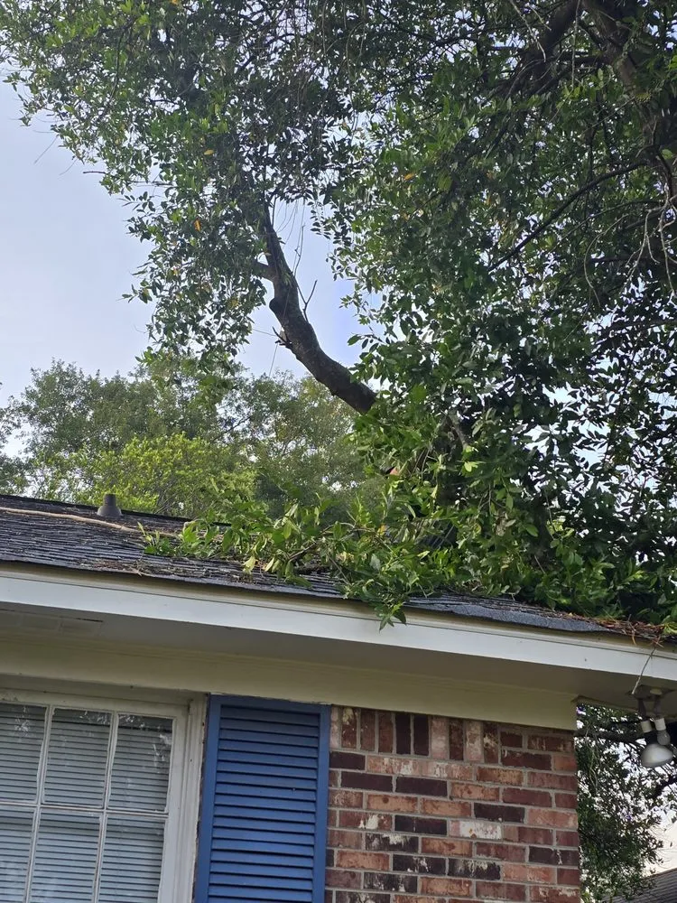 Top-rated outdoor landscaping experts serving Blythewood, SC - 2nd Chance Lawn And Tree Care