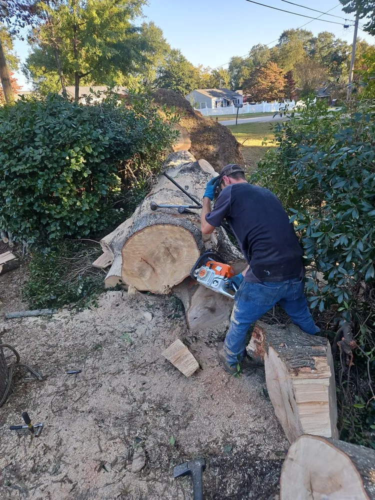 Local residential landscaping in Blythewood, SC - 2nd Chance Lawn And Tree Care