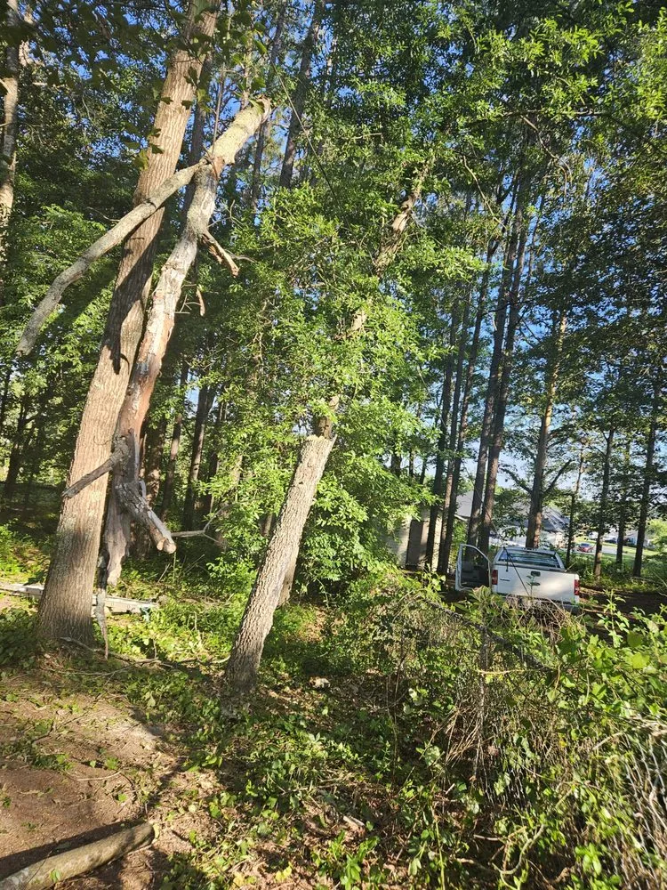 Affordable outdoor landscaping in Blythewood, SC by 2nd Chance Lawn And Tree Care