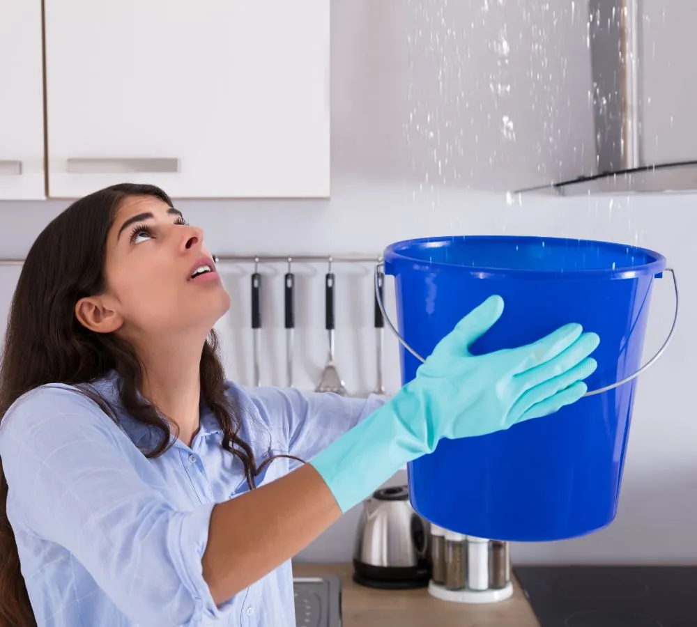 Expert landscape installation in Willoughby, OH - 2nd Chances