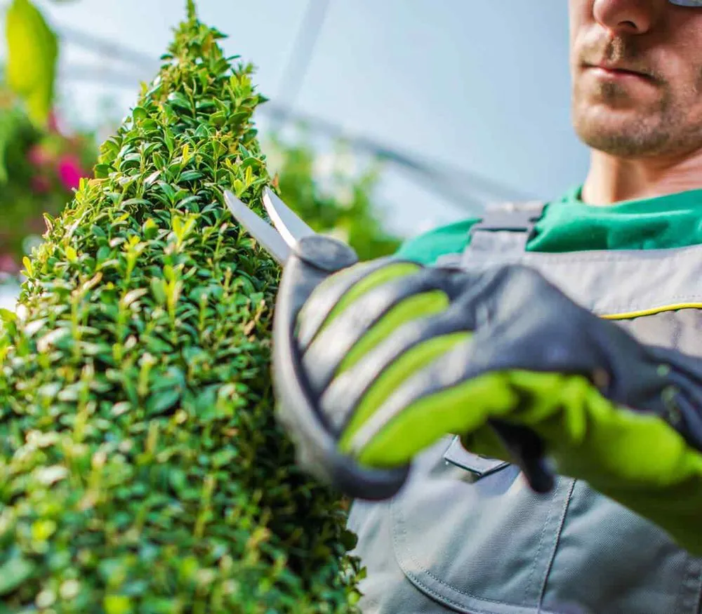 Expert lawn care service with custom design across Willoughby, OH - 2nd Chances