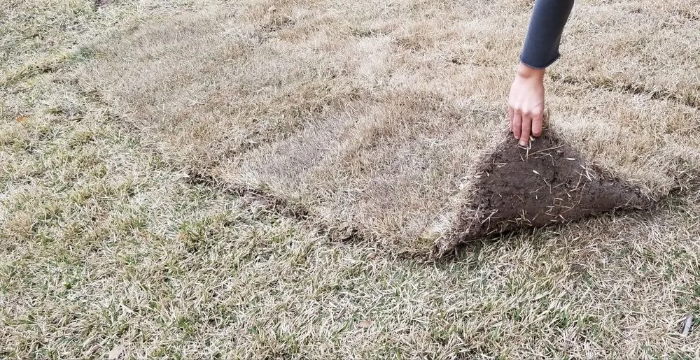 Local outdoor landscaping near you across Wake Forest, NC - 2nd Generation Lawn Services