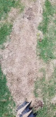 2nd Generation Lawn Services Logo