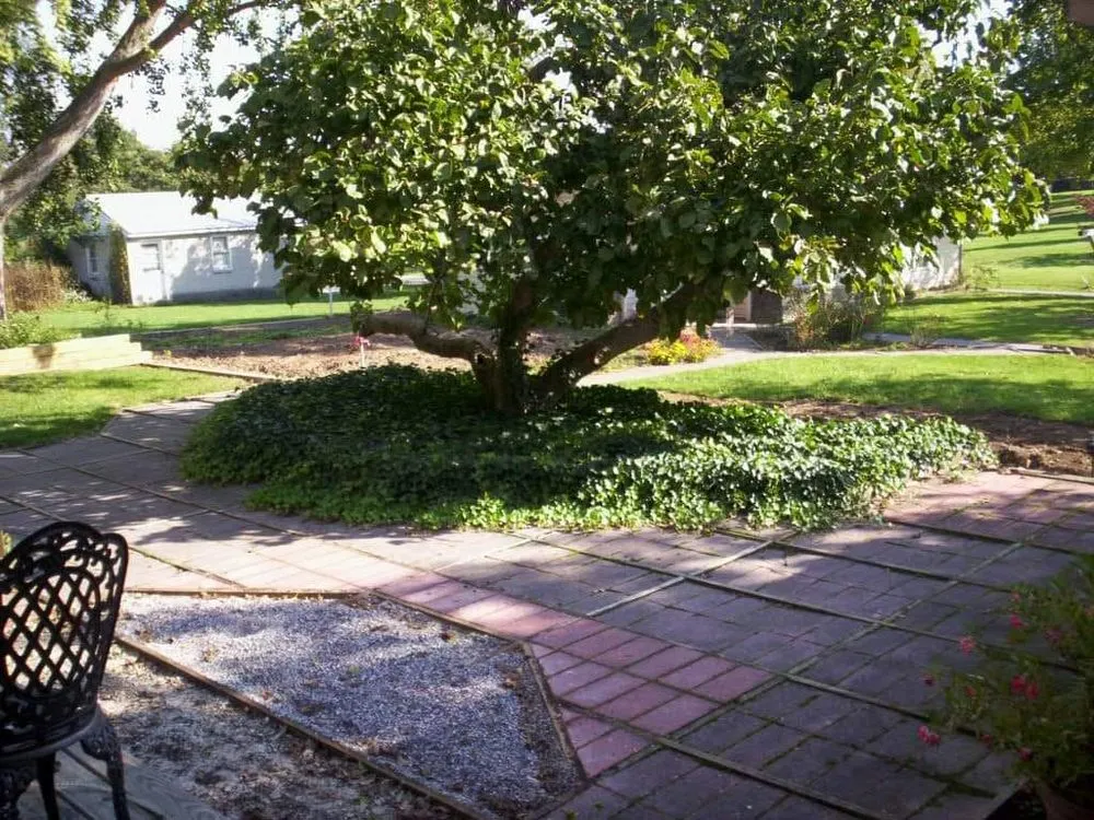 Affordable yard maintenance experts serving Mount Pleasant, NC - 2nd Look Landscapes