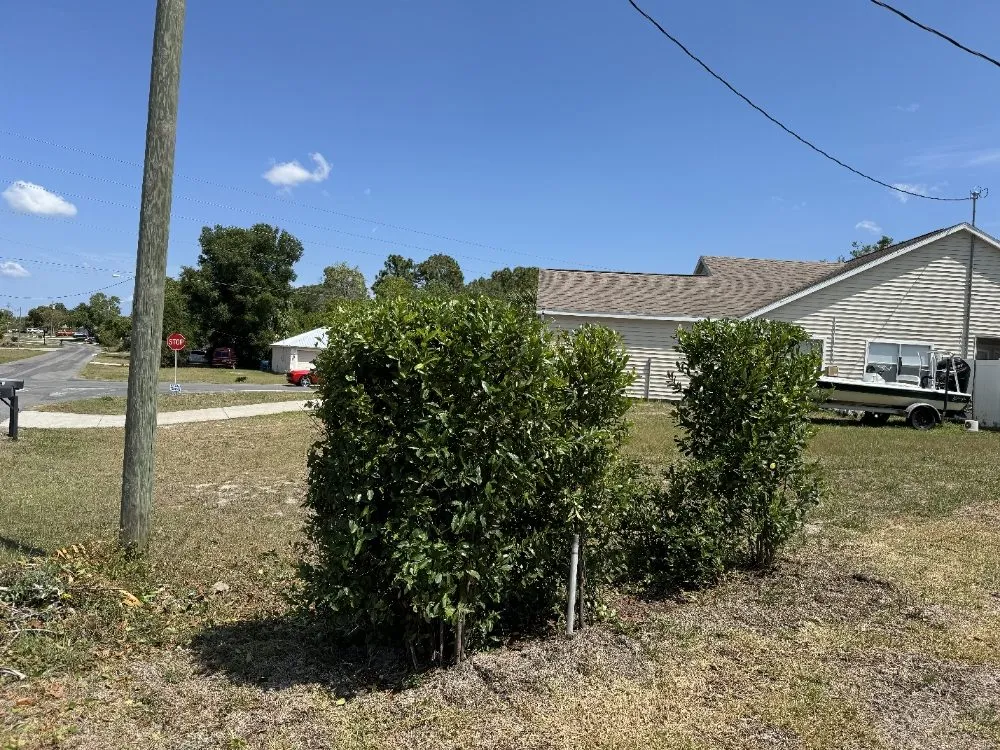 Expert yard cleanup service in Spring Hill, FL - 2R Solutions Landscaping Service