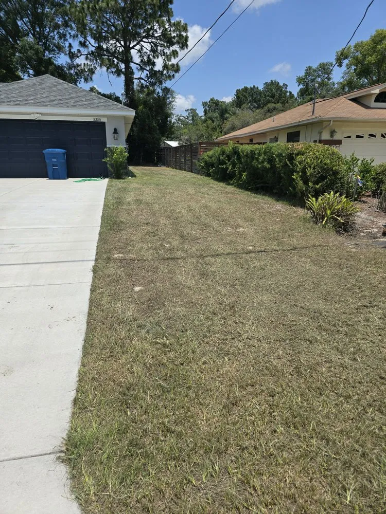 Expert residential landscaping experts serving Spring Hill, FL - 2R Solutions Landscaping Service