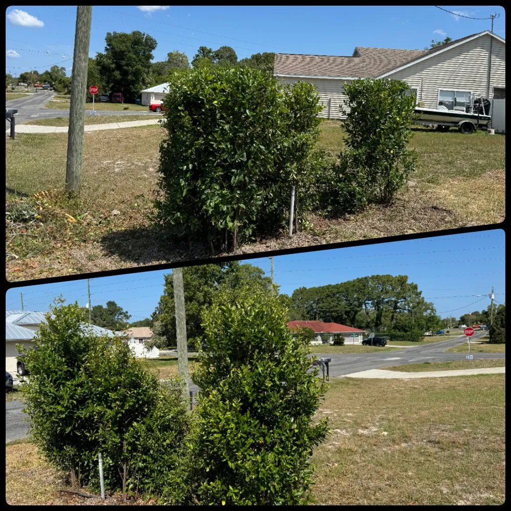 Trusted landscape design for year-round maintenance across Spring Hill, FL - 2R Solutions Landscaping Service