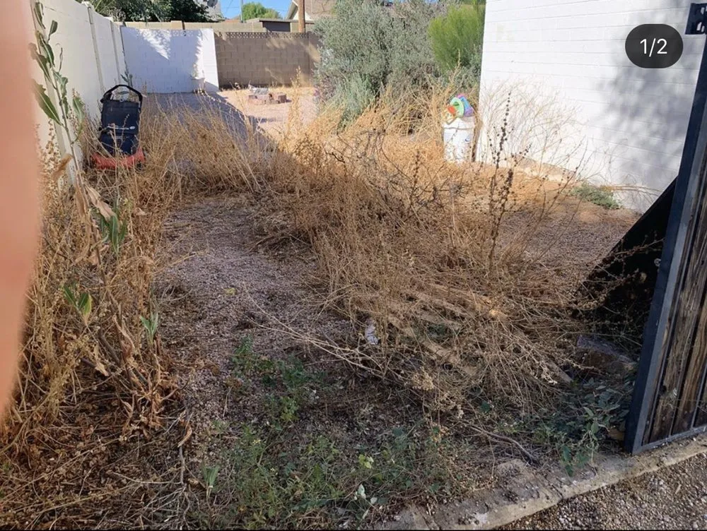 Reliable outdoor landscaping in Avondale, AZ - 2U Landscape Solutions