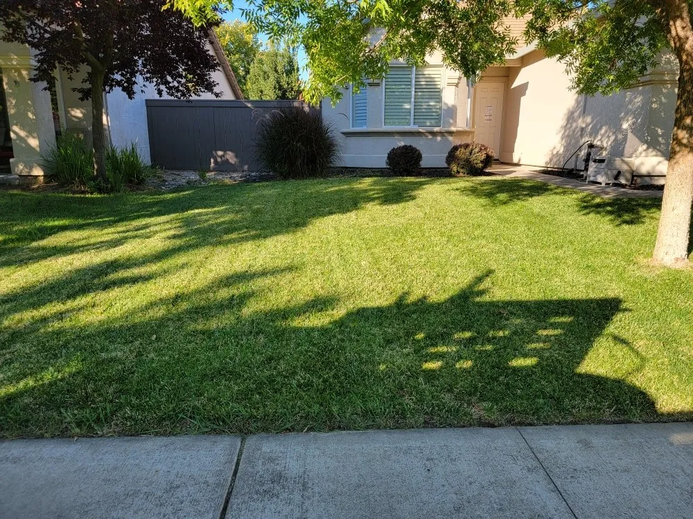 Custom landscaping services for homes in Sacramento, CA by 2Vets Landscaping