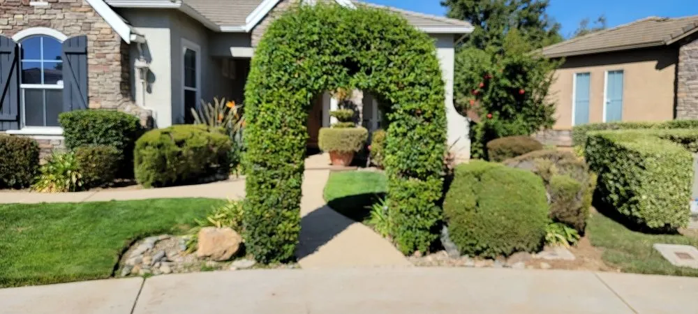 Expert outdoor landscaping for outdoor upgrades across Sacramento, CA - 2Vets Landscaping