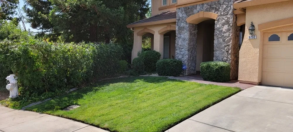 Professional landscape installation experts serving Sacramento, CA - 2Vets Landscaping
