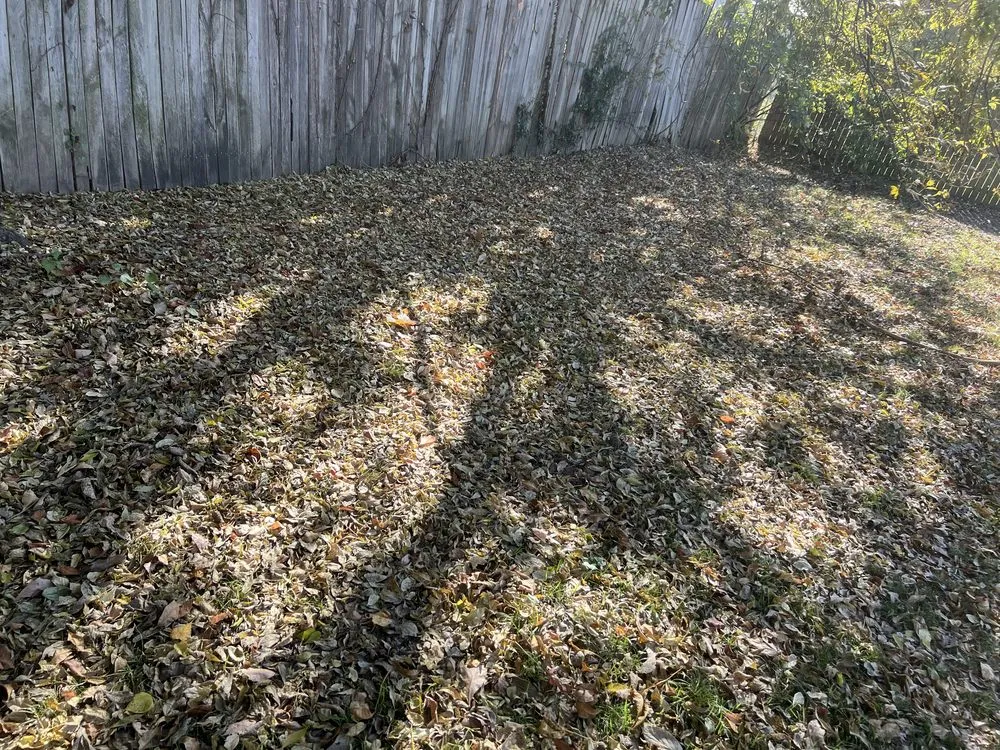 Top-rated yard maintenance in Broken Arrow, OK by 2way pros