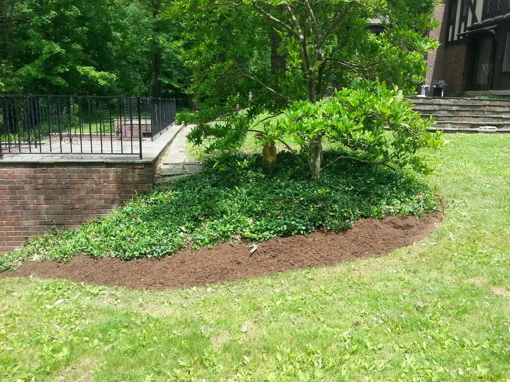 Affordable landscape installation in Lawrence, IN - 3 Amigos Landscaping