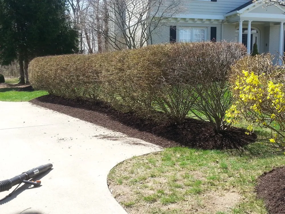 Affordable residential landscaping for beautiful yards in Lawrence, IN by 3 Amigos Landscaping