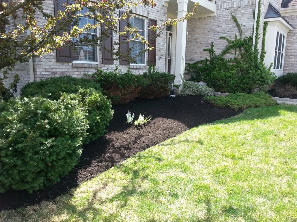 Local yard maintenance in Lawrence, IN - 3 Amigos Landscaping