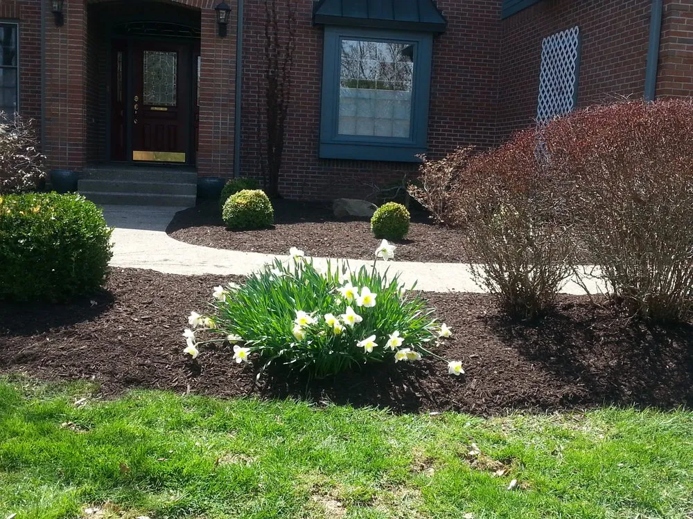 Affordable yard maintenance in Lawrence, IN by 3 Amigos Landscaping