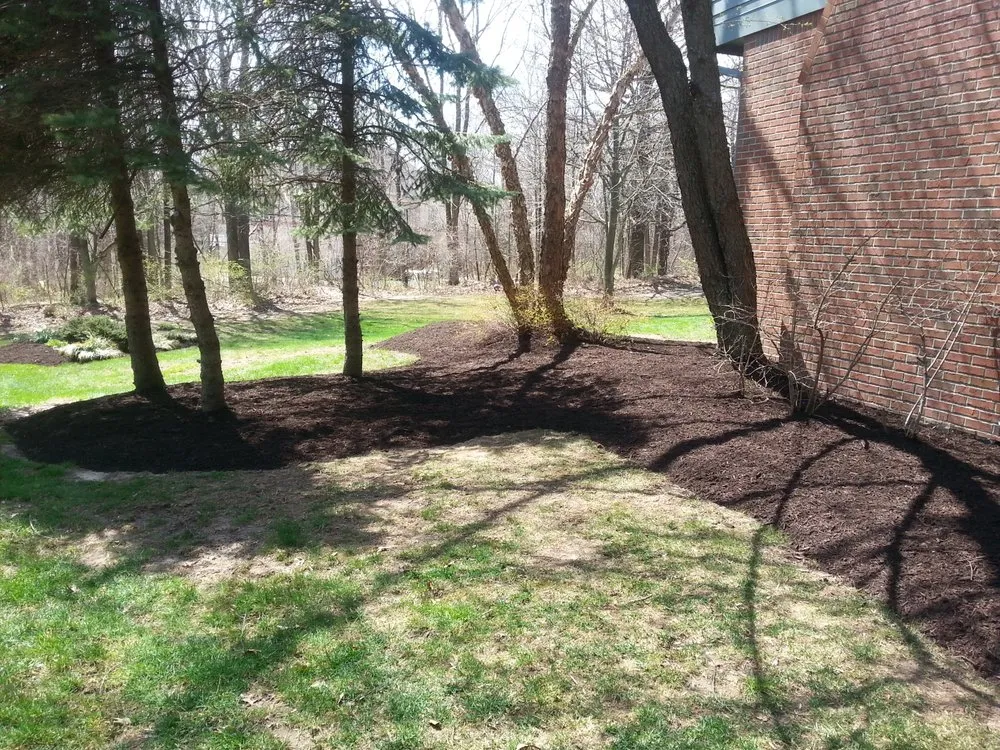 Affordable yard cleanup service in Lawrence, IN - 3 Amigos Landscaping