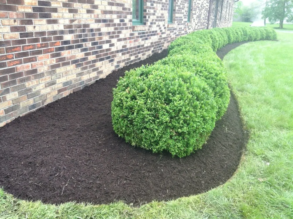 Top-rated outdoor landscaping in Lawrence, IN - 3 Amigos Landscaping