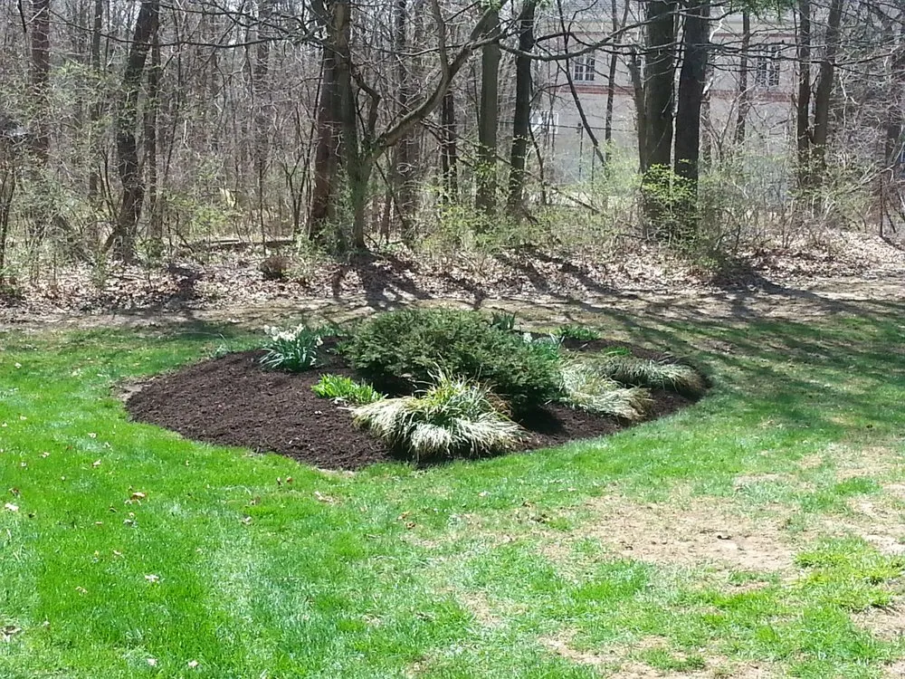 Local yard maintenance with custom design across Lawrence, IN - 3 Amigos Landscaping