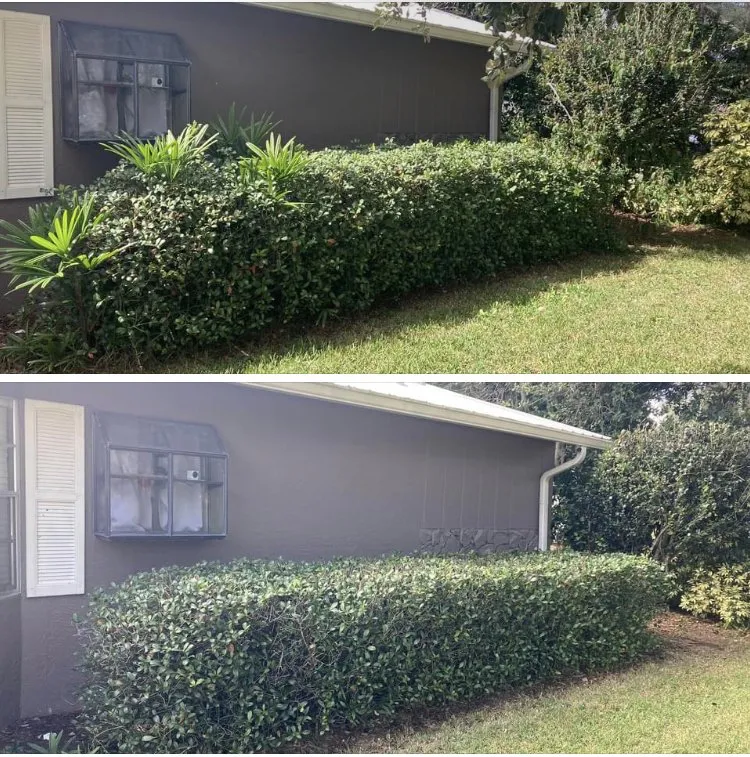 Local outdoor landscaping for outdoor upgrades in Avon Park, FL by 3 Angels Lawn Care