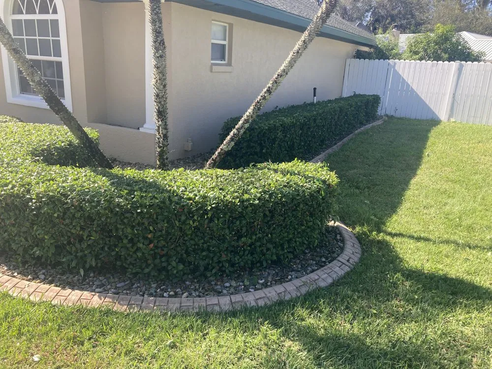 Top-rated residential landscaping experts serving Avon Park, FL - 3 Angels Lawn Care