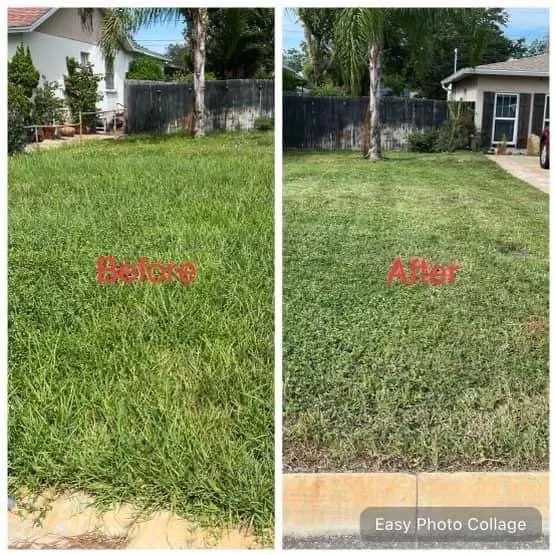 Trusted residential landscaping experts serving Avon Park, FL - 3 Angels Lawn Care