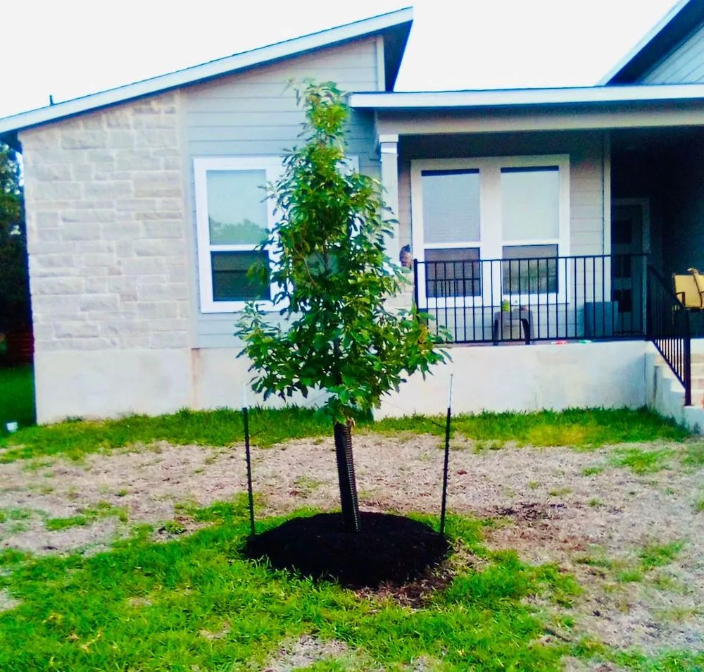 Affordable lawn mowing service in Austin, TX by 3 A’s Landscape & Irrigation