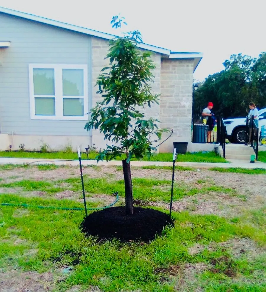 Expert residential landscaping for beautiful yards across Austin, TX - 3 A’s Landscape & Irrigation