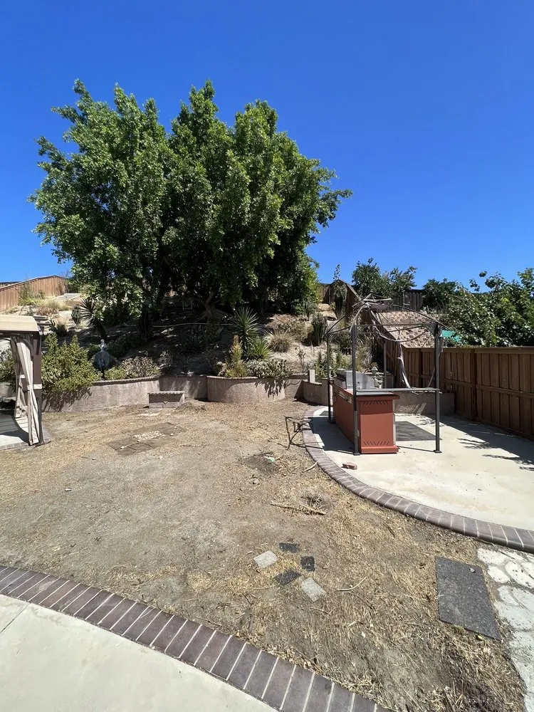 Reliable yard cleanup service for residential properties in Lake Elsinore, CA by 3 A’s Landscaping