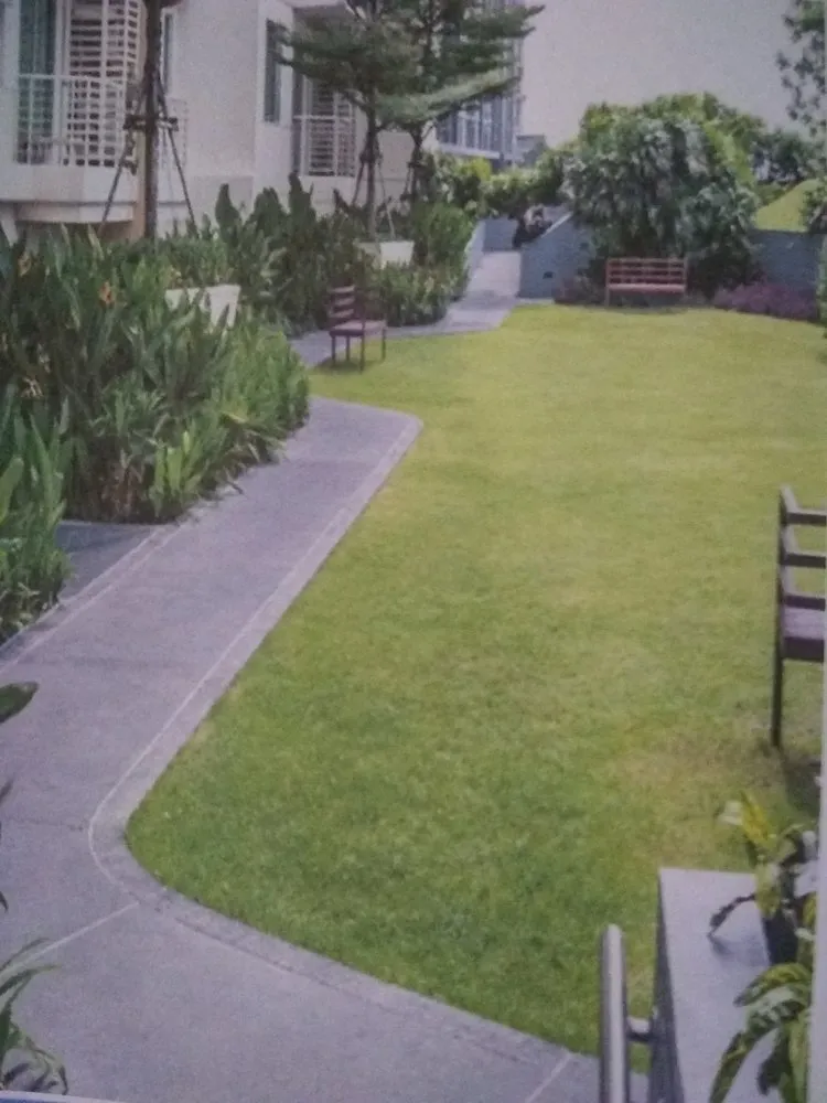 Professional garden landscaping for beautiful yards across Kingsville, TX - 3 A's Lawn and Tree