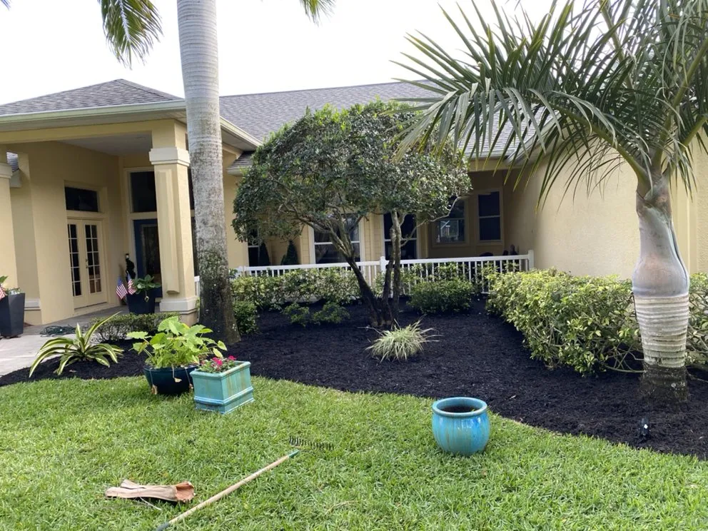 Trusted yard cleanup service in Merritt Island, FL - 3 Bags Land