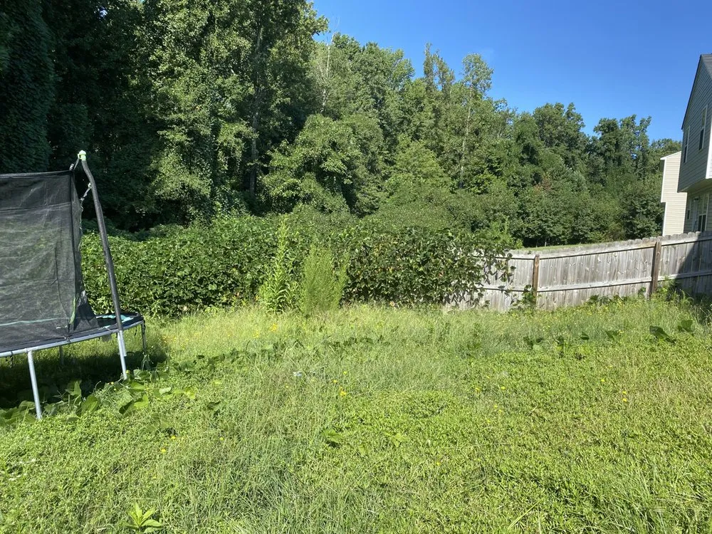 Top-rated garden landscaping experts serving Boiling Springs, SC - 3 Boys Landscaping