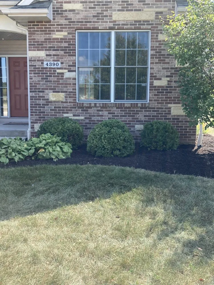 Custom yard maintenance in Poplar Grove, IL - 3 Bros Landscaping and Painting