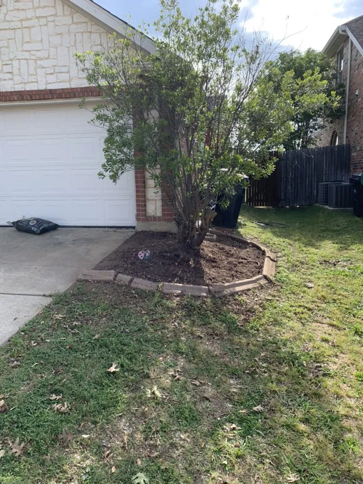 Affordable yard cleanup service in Shady Shores, TX - 3 Bros Landscaping