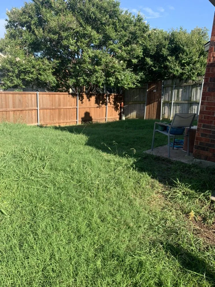 Professional yard maintenance near you across Shady Shores, TX - 3 Bros Landscaping