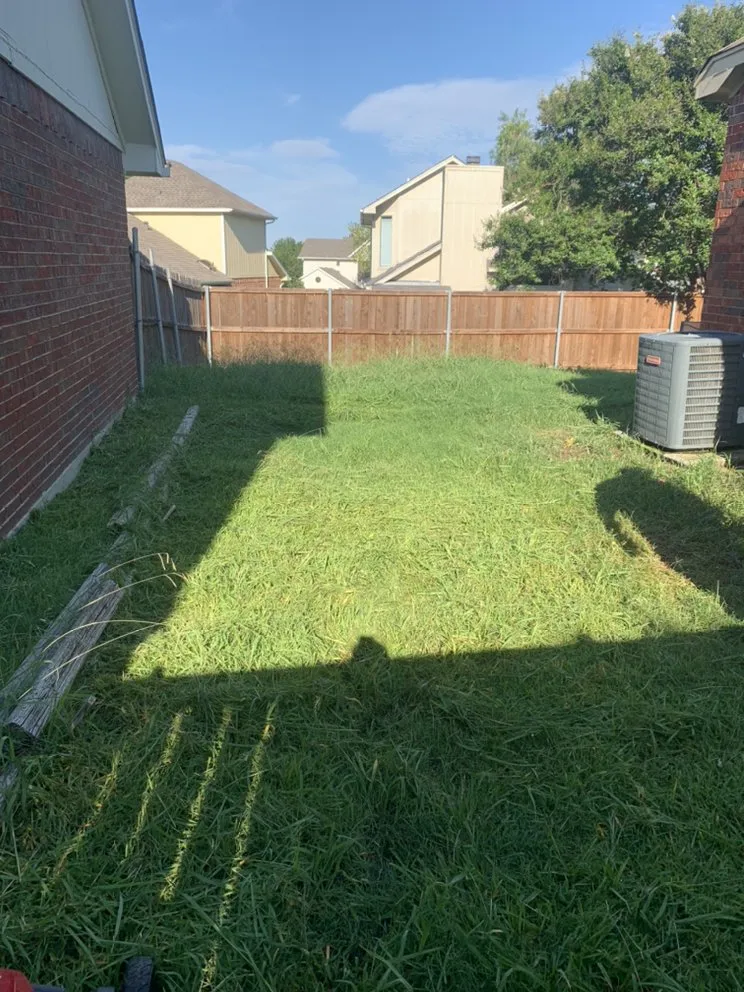 Professional yard cleanup service in Shady Shores, TX by 3 Bros Landscaping