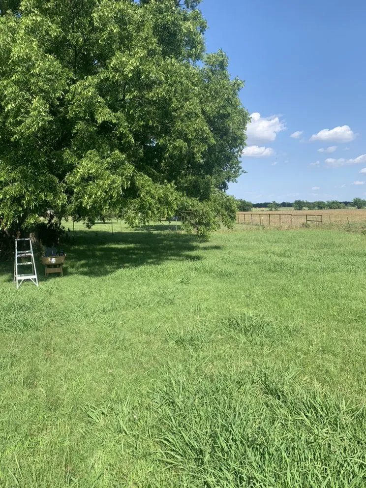 Local lawn mowing service in Shady Shores, TX by 3 Bros Landscaping