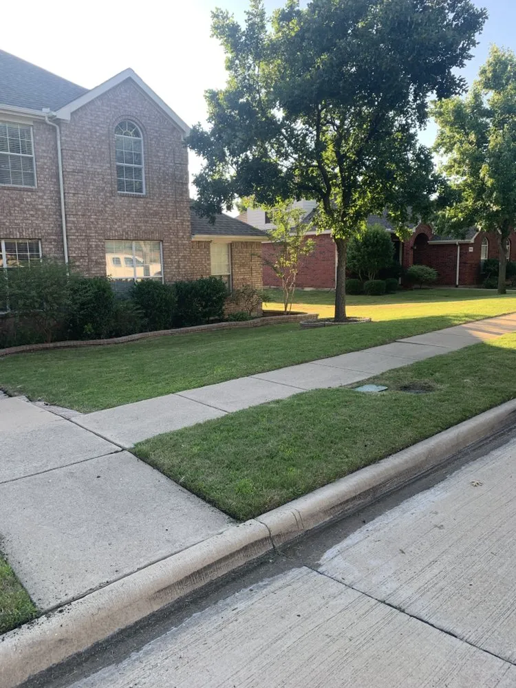 Professional yard cleanup service in Shady Shores, TX by 3 Bros Landscaping