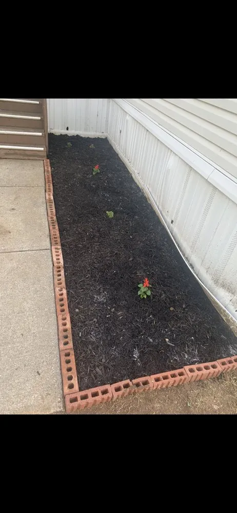 Top-rated yard maintenance in Shady Shores, TX by 3 Bros Landscaping