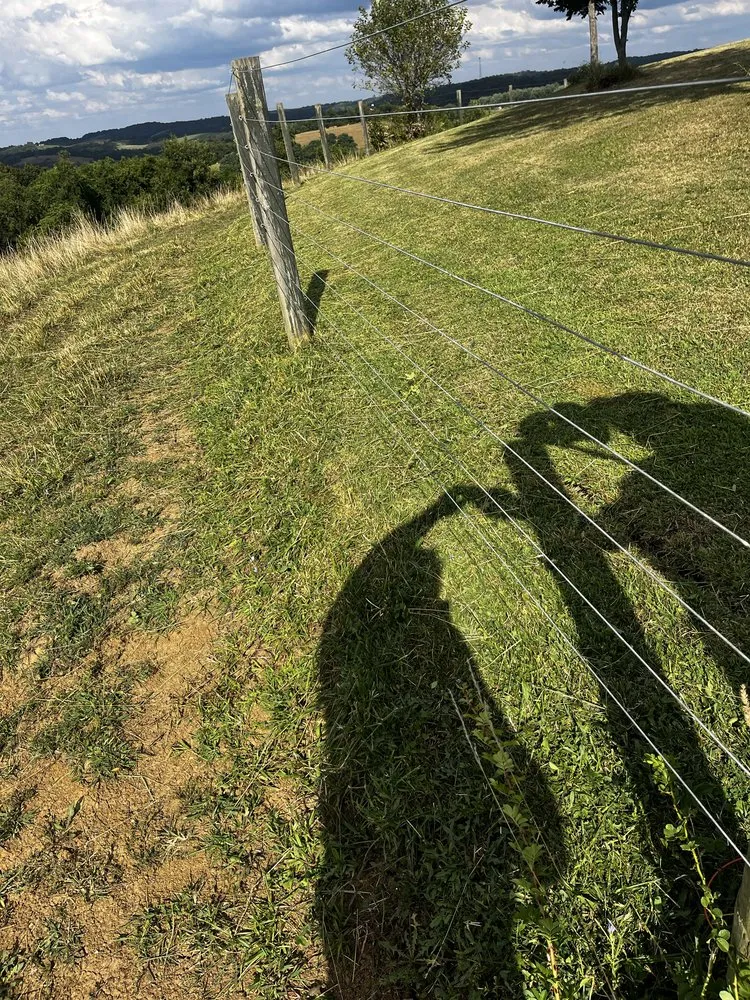 Affordable landscaping services in Dunbar, PA by 3 Bros Lawn Care