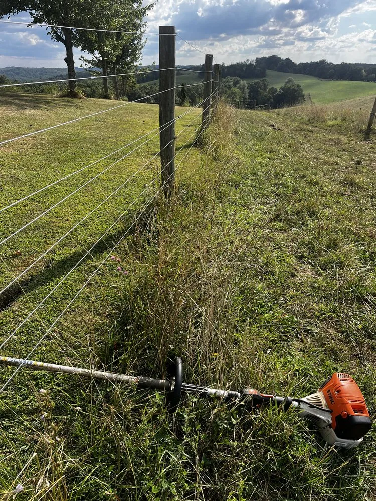 Top-rated yard cleanup service for outdoor upgrades in Dunbar, PA by 3 Bros Lawn Care