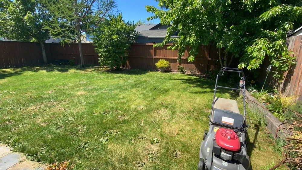 Reliable landscape design for beautiful yards across Salem, OR - 3 Bros Lawn Care