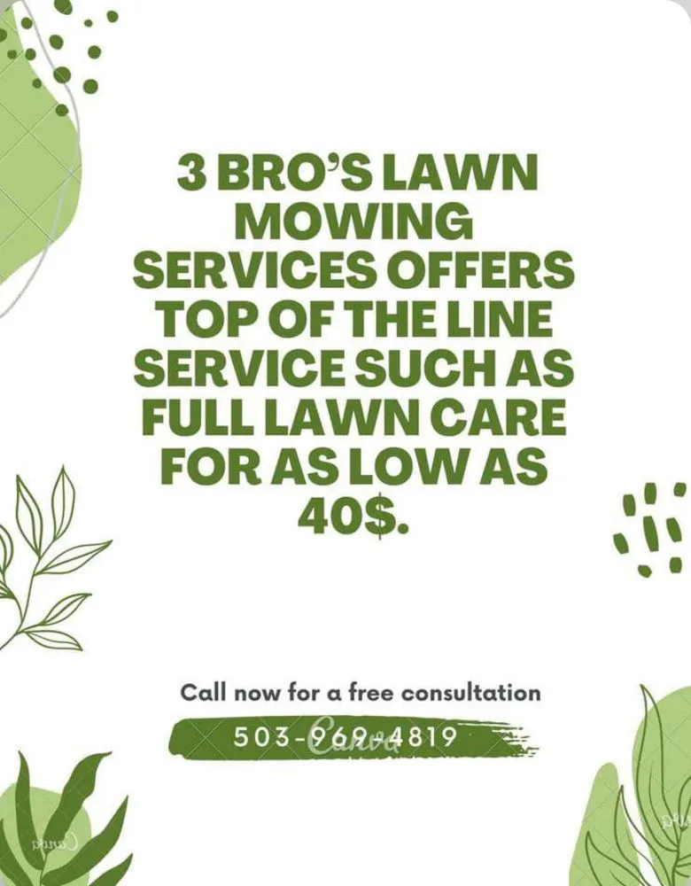 Local yard maintenance for outdoor upgrades in Salem, OR by 3 Bros Lawn Care